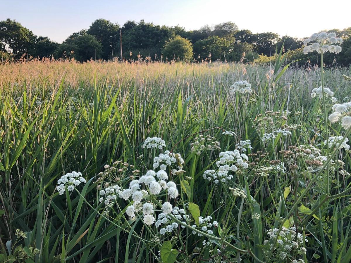 Secret Garden Glamping Hotel Lymington Luaran gambar